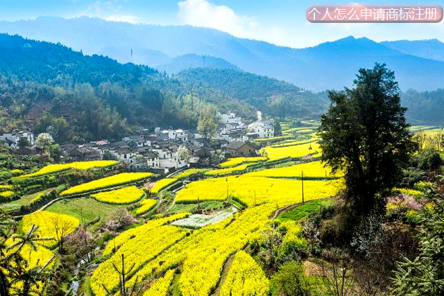 個人怎么申請商標注冊?需要經過哪幾個程序?